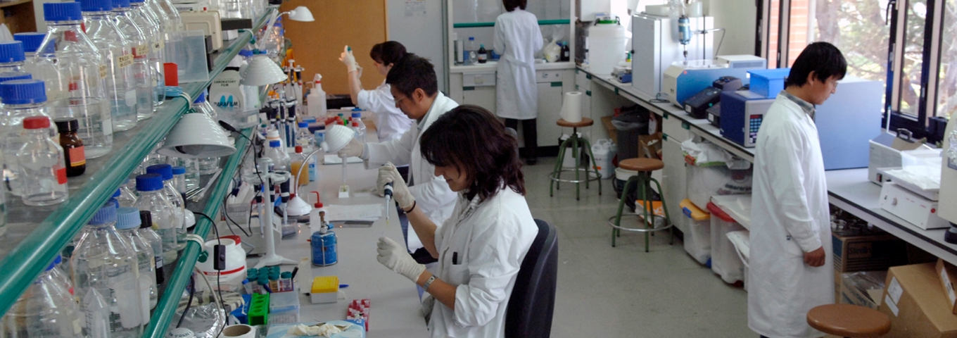 Espai de benvinguda al professorat 